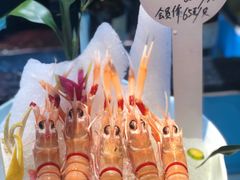 鳌虾-尚海豆捞(乐虹坊店)