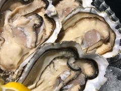 空运美国珍宝生蚝-小火花·干式熟成牛排馆Spark SteakHouse(剑桥郡店)