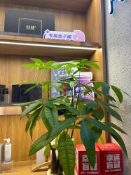 点击看大图 -丝域养发馆