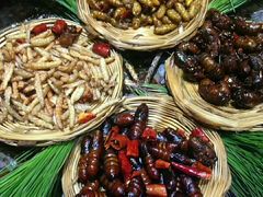 -昆虫窝子·特色云南菜(拓东路总店)