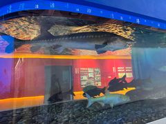 -千岛湖鱼味馆(十字街总店)