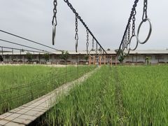 -河北村民俗体验园
