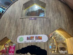 -卡通尼·Safari非洲探索乐园·生日会(金桥国际商业广场店)