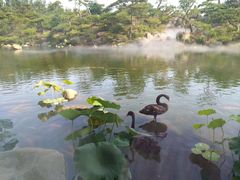 -罗红摄影艺术馆