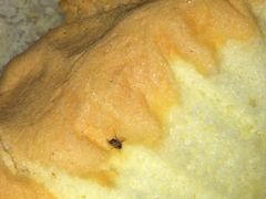 -极致味道动物奶油生日蛋糕(时尚店)