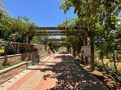 -北京张裕爱斐堡酒庄