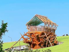 -合肥滨湖国家森林公园