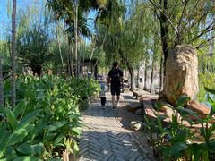 -东莞市可园博物馆