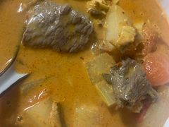 -momokira米努特·德文卷毛猫·棉花面纱犬