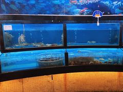 水产区-渔公码头·九龙湾国际饭店