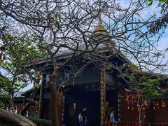 -海南分界洲岛旅游区