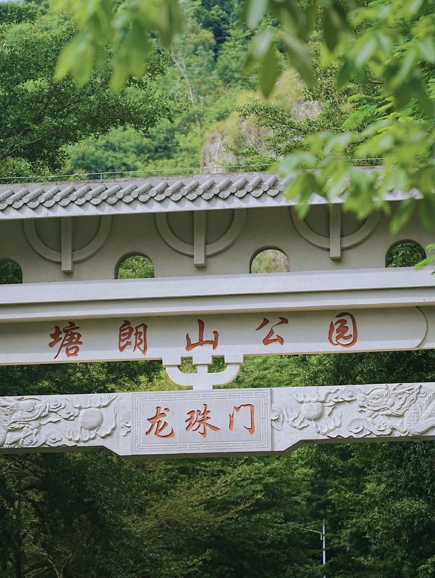 塘朗山公园图片