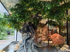 -院里寻菜·精致庭院菜(观沙岭店)