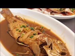 红烧鲳鱼-天天渔港海鲜酒家(石浦玉泉路店)
