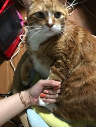 -AKIRA 安久日式美甲美睫