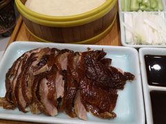 -海派美食·家宴海鲜青岛菜·石锅鲽鱼头(东方城店)