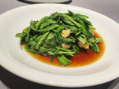 糖酒炒本芥-宣和苑(华侨新村店)
