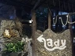 -绿光森林餐厅