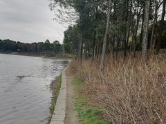-美兰湖景区