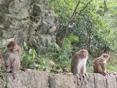 -黔灵山公园