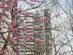 -重庆彩云湖湿地公园