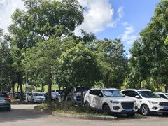 -水濂山森林公园