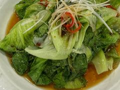 罗马生菜-京天红酒家(虎坊路店)