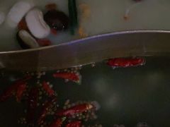 -九鼎轩火锅大排挡