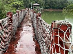 -广州白江湖森林公园