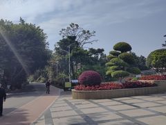 -仙岳公园