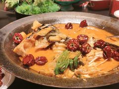 -秀儿四九城·新京菜(亚运村鸟巢店)
