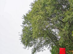 -少华山国家森林公园