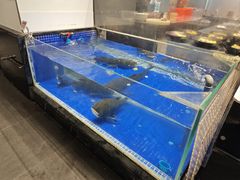 -高佳庄·舟山海鲜(海景旗舰店)