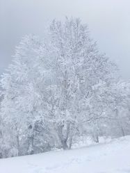 -大秃顶子山