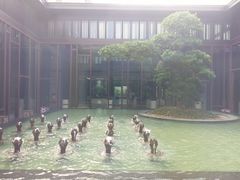 -上海崇明金茂凯悦酒店