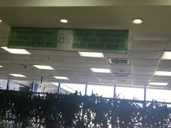 -首都医科大学附属北京儿童医院