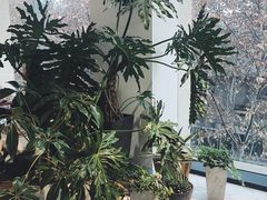 大堂-CAFE'IN精品咖啡体验空间(小寨店)