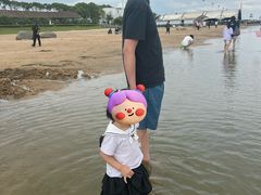 -碧海金沙