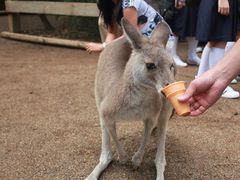 -费瑟代尔野生动物园