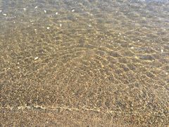-台场海滨公园船码头