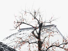 -寒山寺