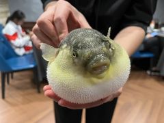 -肆月河豚·新淮扬(金融街店)