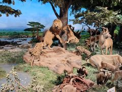 -国家自然博物馆