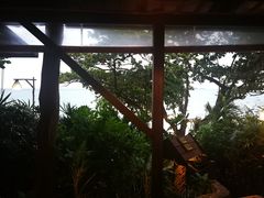 -卷心菜和避孕套餐厅(Pattaya)