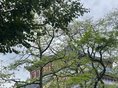 -广州中山纪念堂
