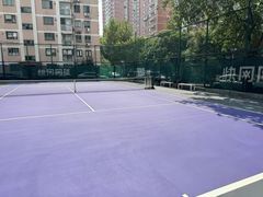 -快网网球俱乐部(长宁区金桥花园球场)
