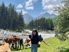 -硗碛藏寨·神木垒景区