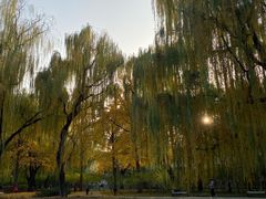 -玲珑塔公园