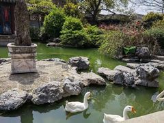-祝家花園(伯渎港店)
