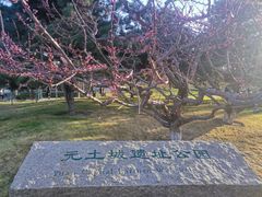 -元大都城垣遗址公园